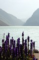 Lake Louise