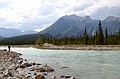Snaring River - Jasper