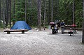 Snaring River Camp