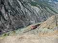 Goods Train