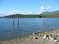 Uclulet Harbour