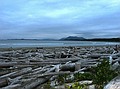 Wickaninnish Beach