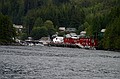 Returning to Telegraph Cove