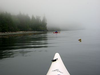 Off into the mist