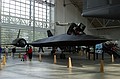 Guess what - another Blackbird