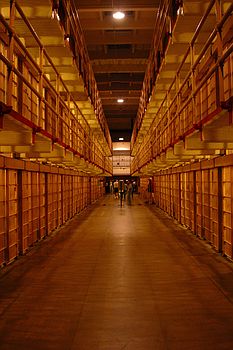 The cells