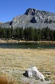 Yosemite