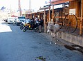 Mule & bike park