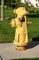 Water thing