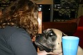 Beautiful Beau!