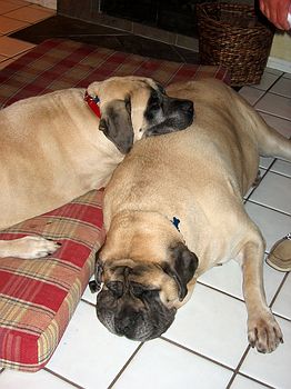 Very comfy!