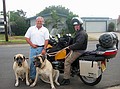 Boys & Dogs