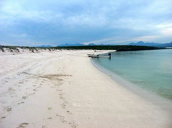 Cool Beach
