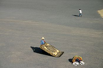 Rug seller