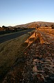 Avenue of the Dead