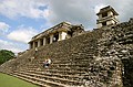 The Palace