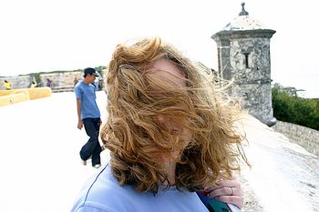 Bloody wind