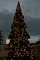 Xmas Tree