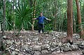 A Mayan road