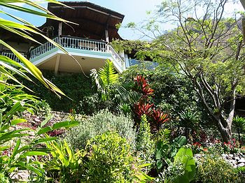 House from the garden