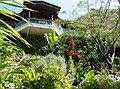 House from the garden