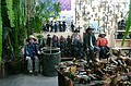 Craft Shop