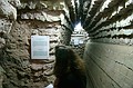 In the tunnels
