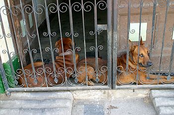 Let me out