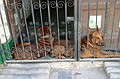 Let me out