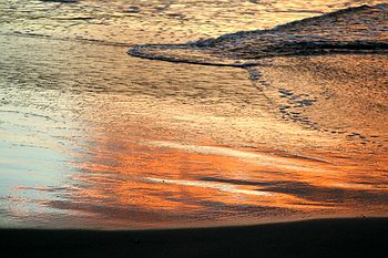Sun on the water