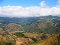 Monteverde (in the clouds)