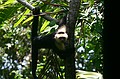 Just hanging