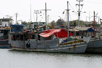 Harbour