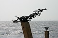 Bird sculpture