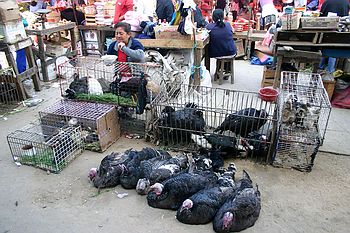 Chiclayo Market