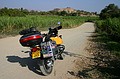 Sipan