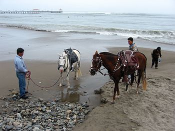 Huanchaco beach