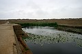 Fresh water lagoon - Chan Chan