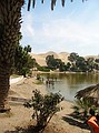 Huacachina Oasis
