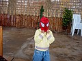 Hombre Arachna