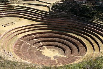 Inca cultivation system