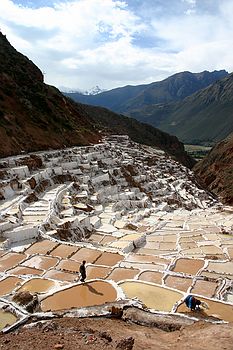 Salt Pans