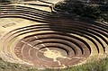 Inca cultivation system