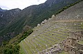 Terracing
