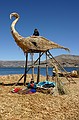Me in a swan!