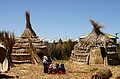 Uros homes